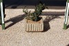 Flower Pot (Square)