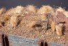 Wire Fencing