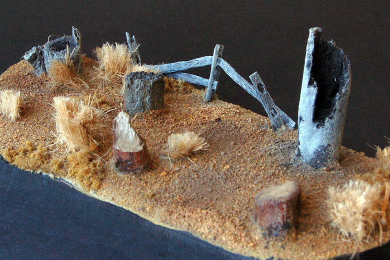 Gum Tree Stumps