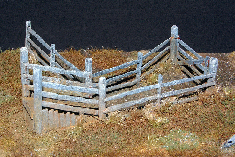 Cattle Race